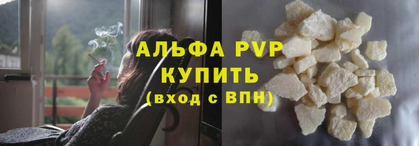 прущие грибы Богородицк