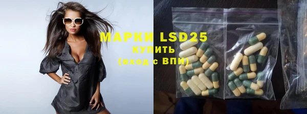 прущие грибы Богородицк