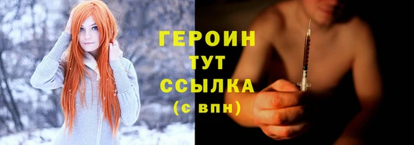 прущие грибы Богородицк
