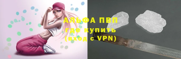 прущая мука Богданович