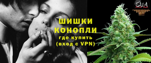 PSILOCYBIN Богородск