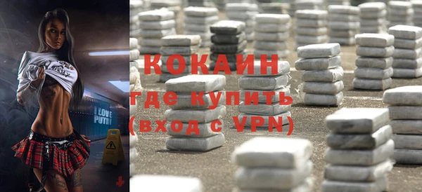 прущие грибы Богородицк