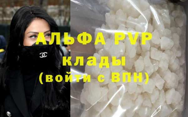 прущие грибы Богородицк